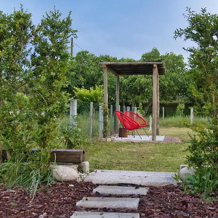 Olive By Nature Yards