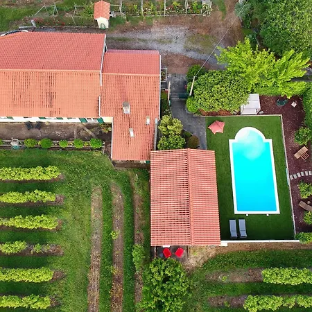 Olive By Nature Yards