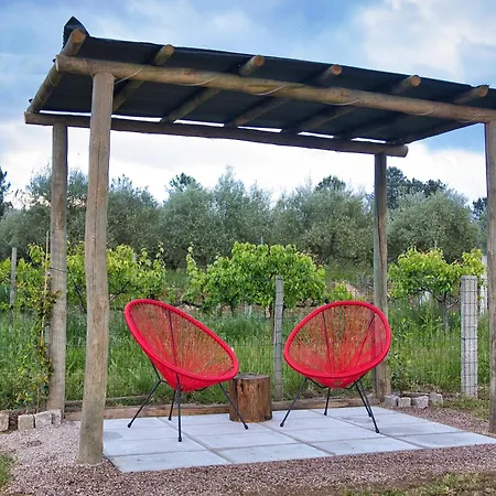 Olive By Nature Yards Villa Aldeia de Joanes