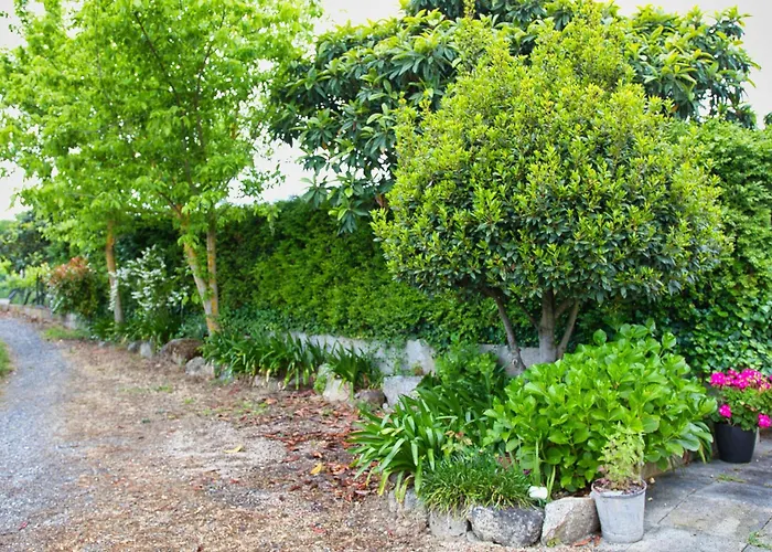 Olive By Nature Yards Villa *